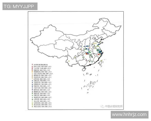 足球白皮问题的根源与解决方案探讨及其对中国足球发展的影响分析